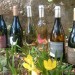 Clos du Gravillas VDP “Lo Vielh” Old Vine Carignan