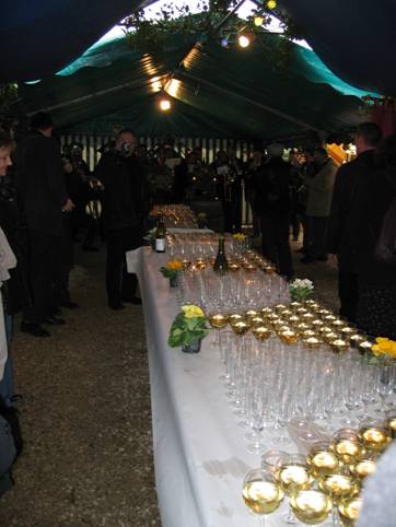 Neatly arranged glasses of white wine